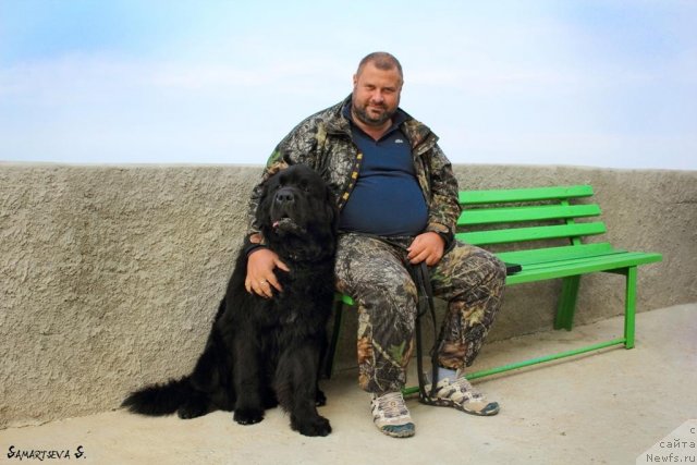 Фотография № 78888