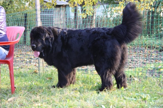 Фотография № 78890