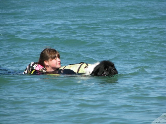 Фотография № 78910