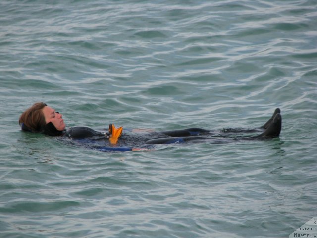 Фотография № 78911