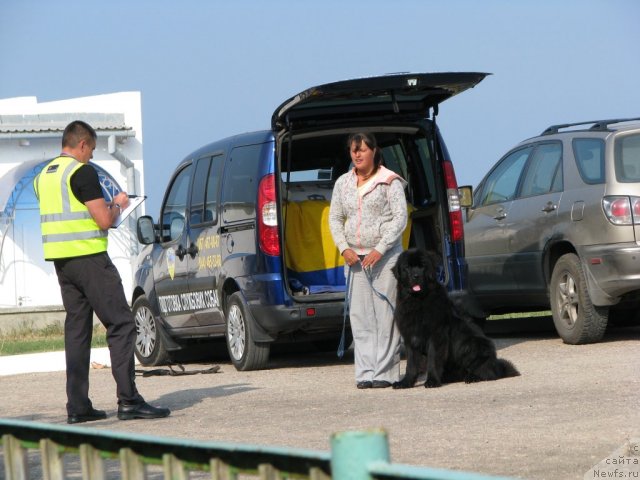 Фотография № 78915