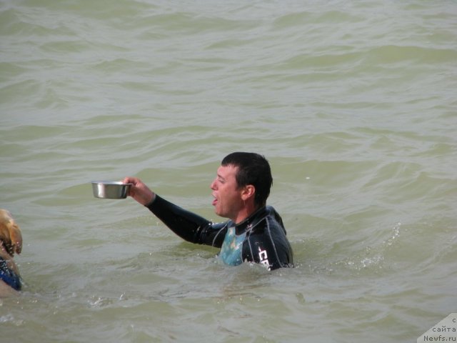 Фотография № 78937