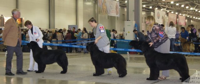 Фотография № 78939