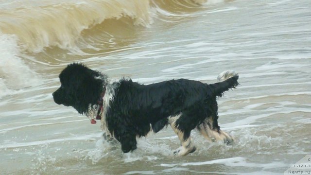 Фотография № 78953