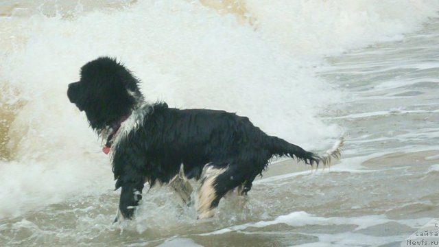 Фотография № 78954