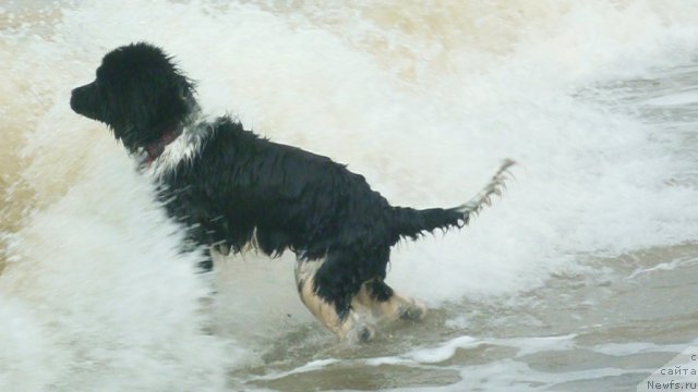 Фотография № 78955