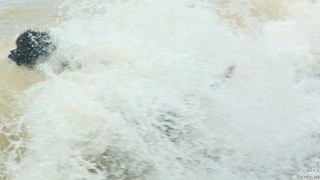 Фотография № 78956