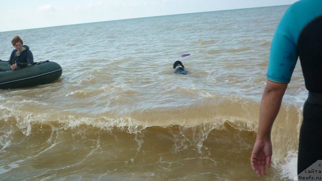 Фотография № 78960