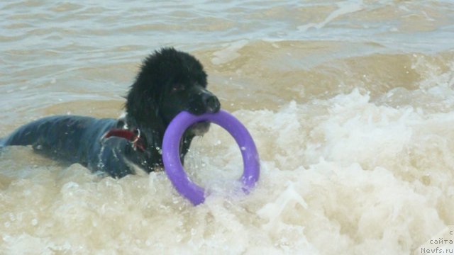 Фотография № 78963