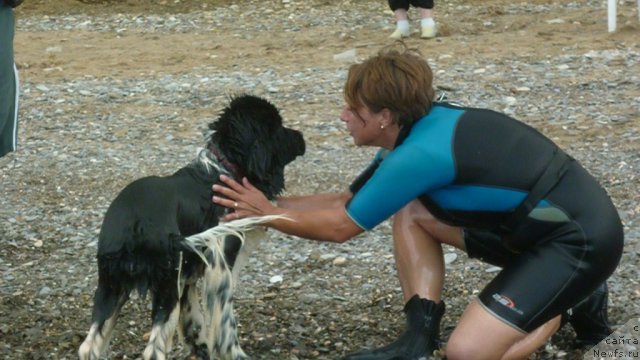 Фотография № 78973