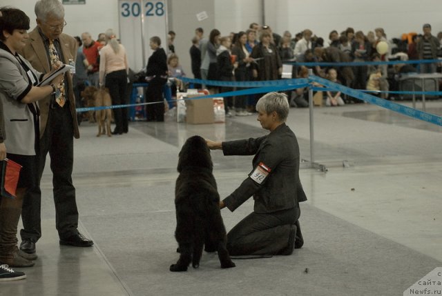 Фотография № 78976