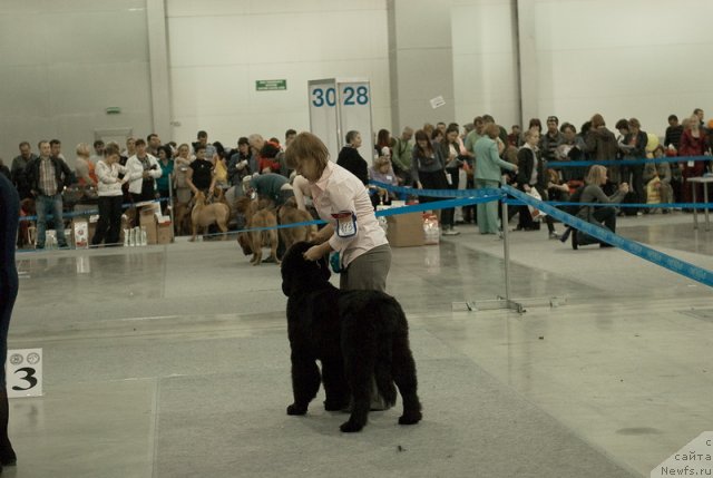 Фотография № 78980