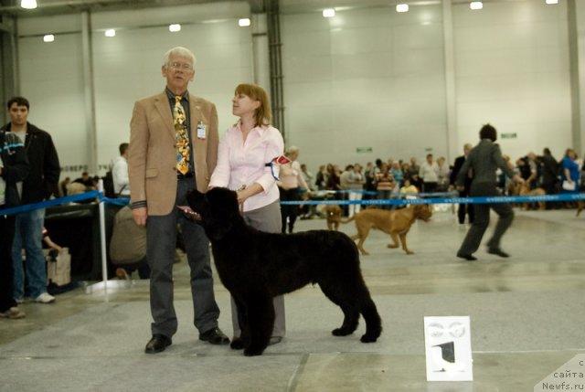 Фотография № 78981