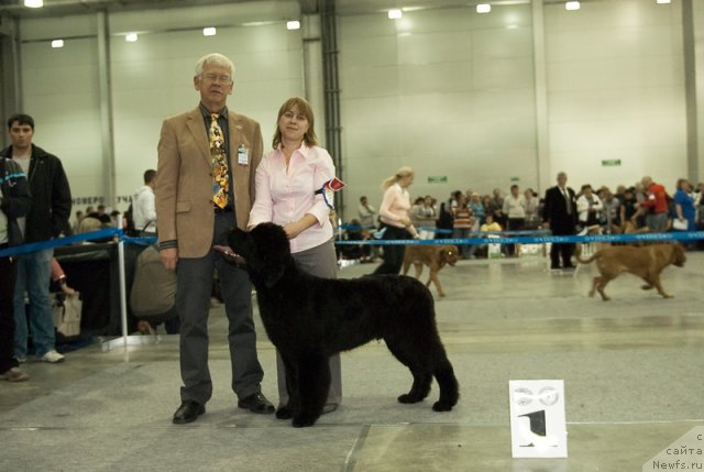 Фотография № 78982