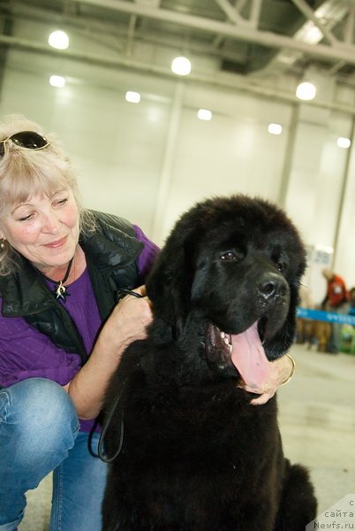 Фото: ньюфаундленд Very Fairweathers X'Got The Rhythm