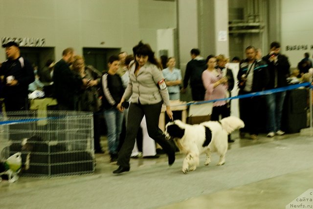 Фотография № 78992