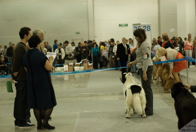 Фотография № 78993