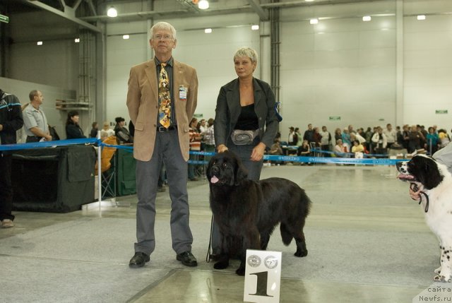 Фотография № 78996