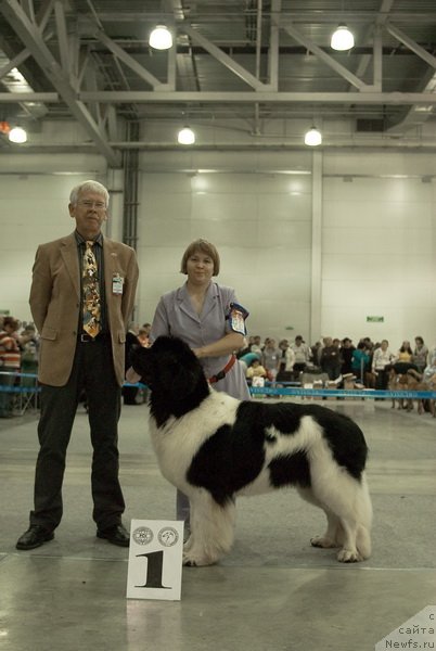 Фотография № 79001