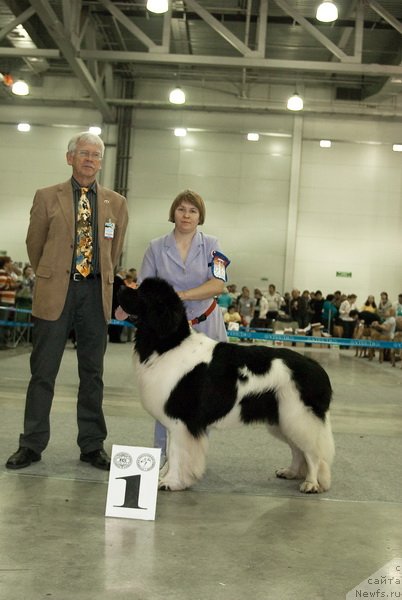 Фотография № 79003