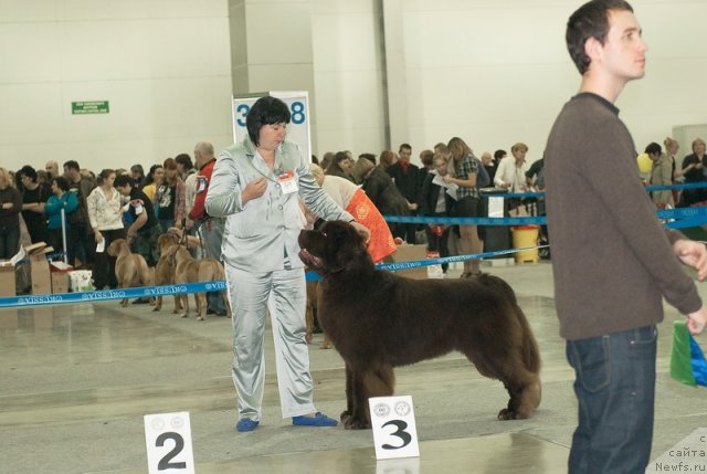 Фотография № 79005