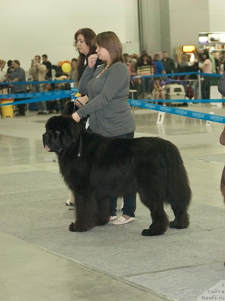 Фотография № 79007