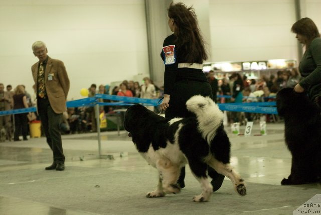 Фотография № 79008