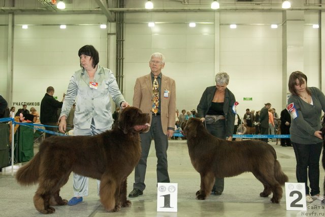 Фотография № 79011