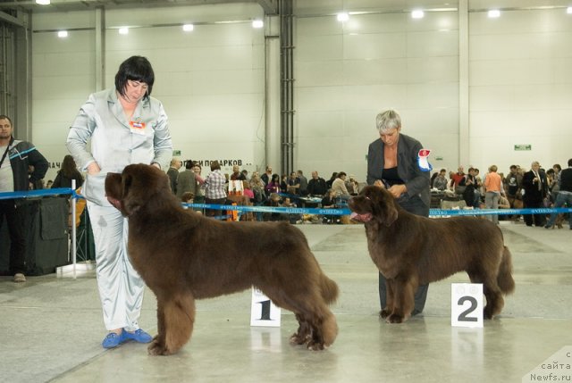 Фотография № 79015