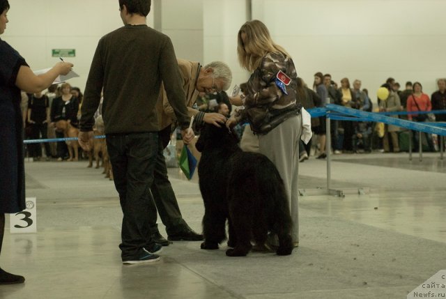 Фотография № 79020