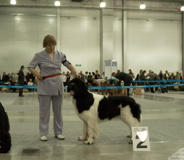 Фотография № 79025