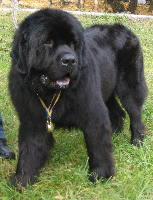 Фотография № 79035