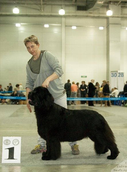 Фотография № 79040