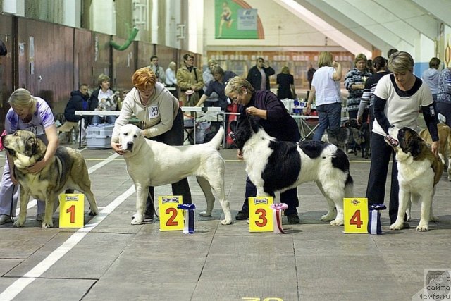 Фотография № 79046