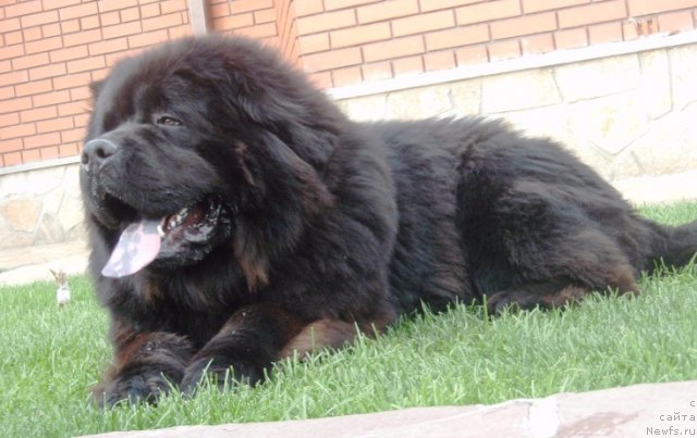 Фотография № 79064