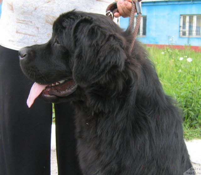 Фотография № 79104