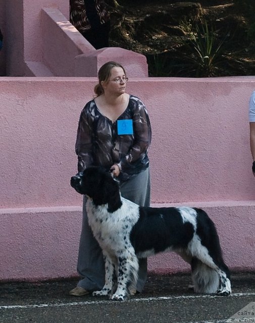 Фотография № 79136