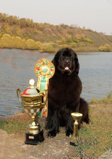 Фотография № 79140