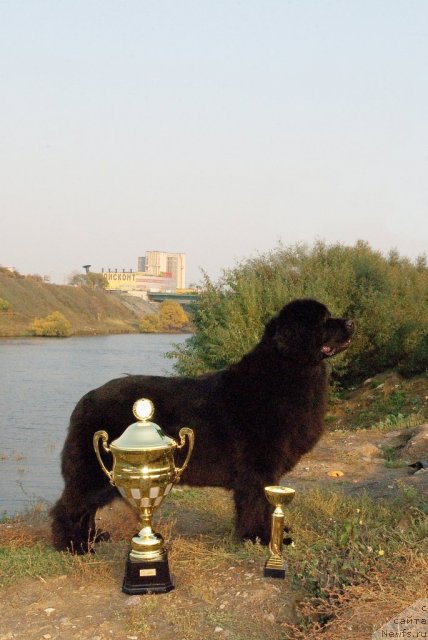 Фотография № 79143