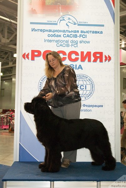 Фотография № 79148