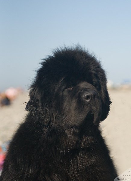 Фотография № 79156