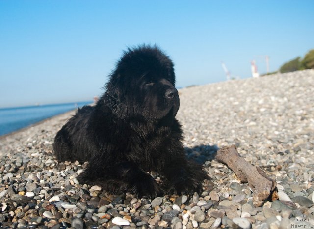 Фотография № 79162