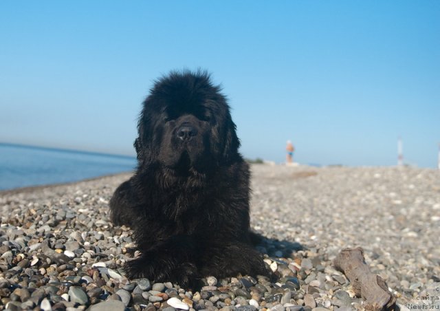 Фотография № 79164