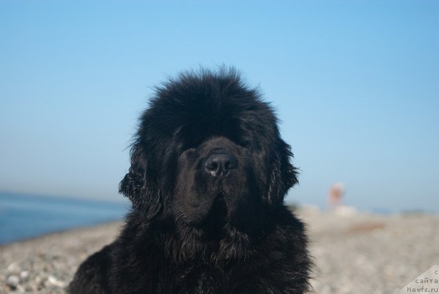 Фотография № 79166