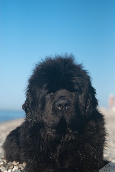 Фотография № 79167