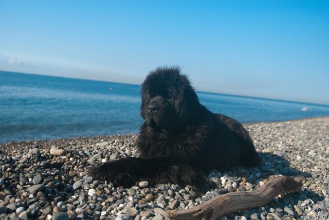 Фотография № 79169