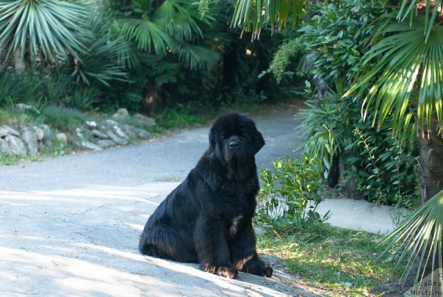 Фотография № 79172