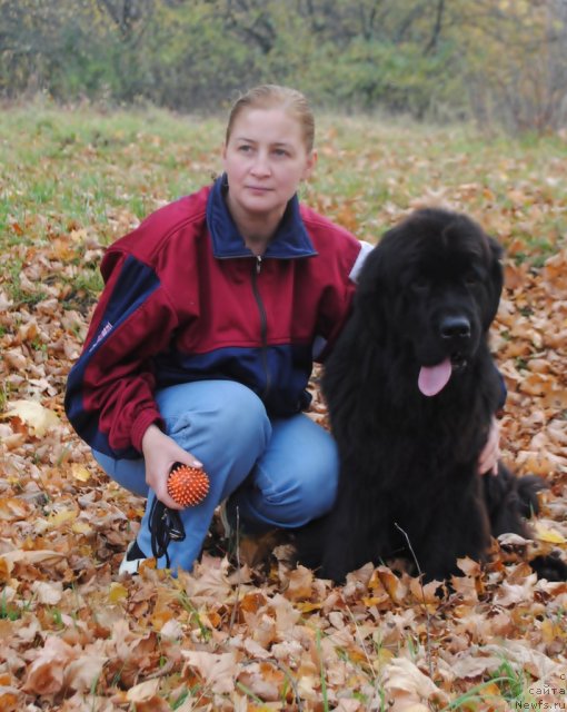 Фото: ньюфаундленд Slavjanka s Berega Dona (Славянка с Берега Дона), Elena Bobneva (Елена Бобнева)