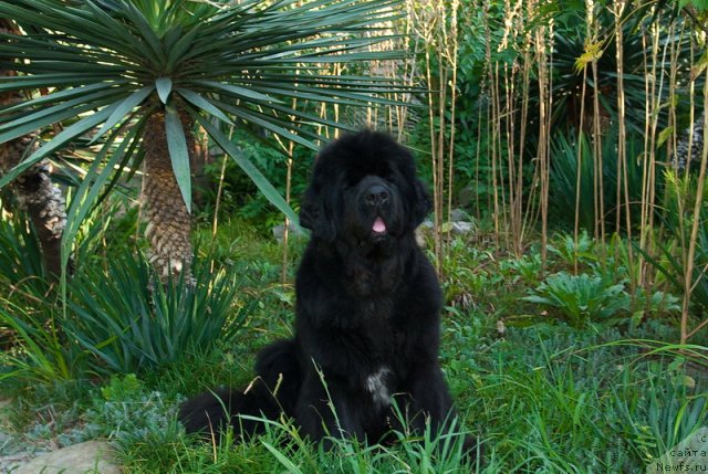 Фотография № 79179