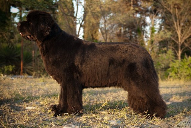 Фотография № 79180